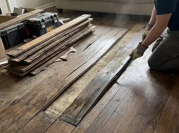 Water Damage Drying in Cave Spring