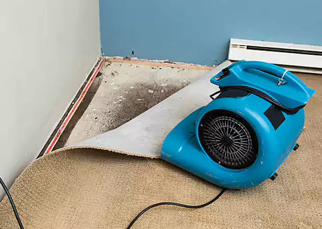 Your Water Damage Experts in Cave Spring, GA