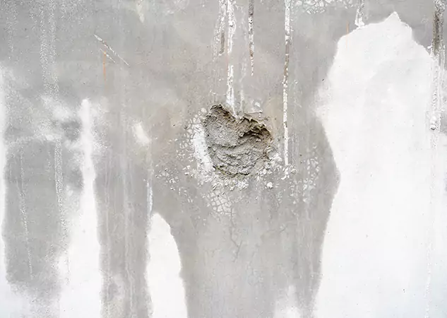 Your Mold Mitigation Solutions Partner in Cave Spring, GA