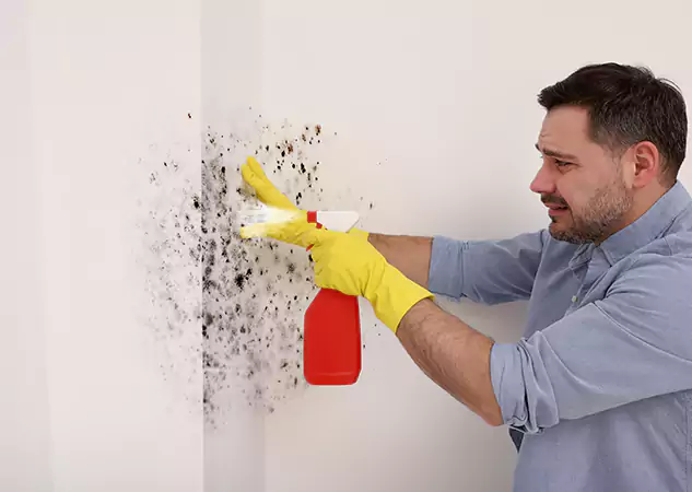 Your Water Mold Fire Restoration Partner in Cave Spring, GA