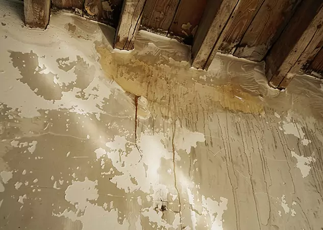 Your Trusted Restoration Company in Cave Spring, GA