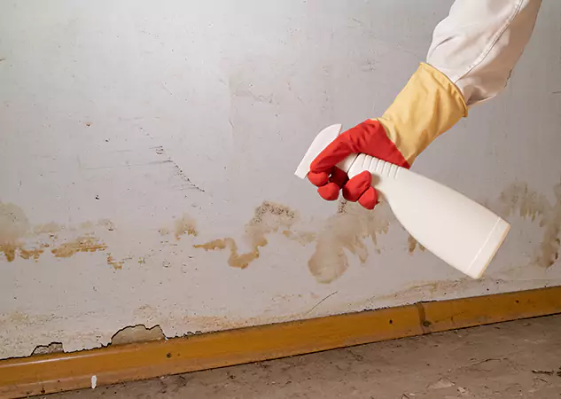 Your Water Restoration and Mold Remediation Specialists in Cave Spring, GA