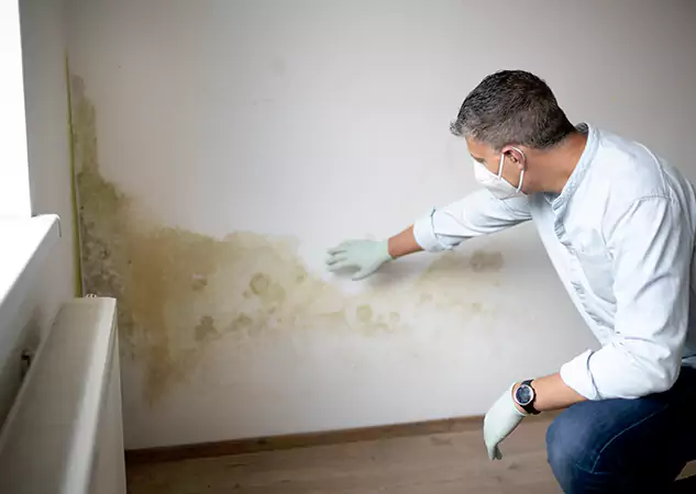 Reach Our Remediation Team Before Damage Grows in Cave Spring, GA!