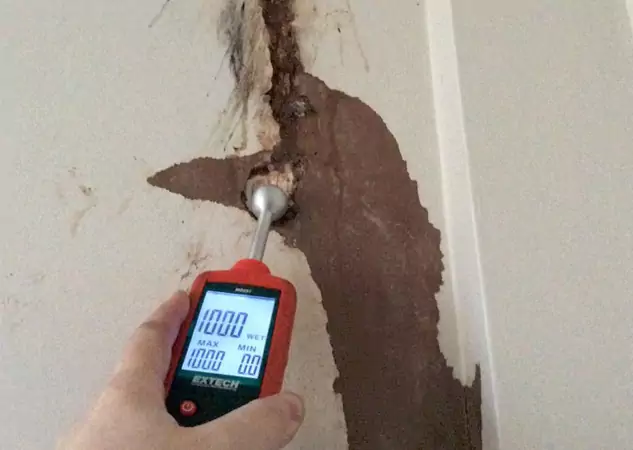 Your Water Damage Assessment Partner in Cave Spring, GA