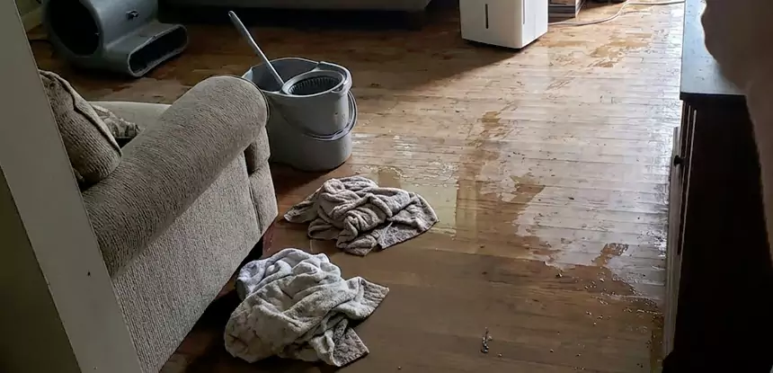 Professional Basement Water Remediation Services in Cave Spring, GA