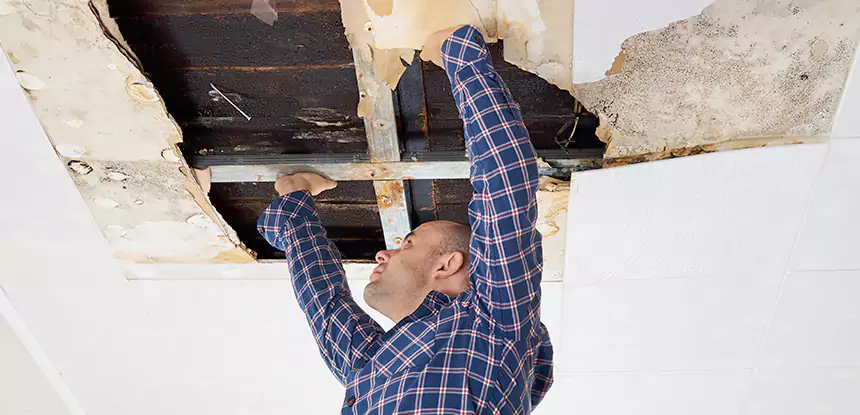 Attic Wood Rot Repair in Cave Spring