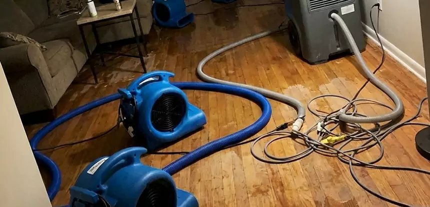 Basement Flood Restoration Services in Cave Spring