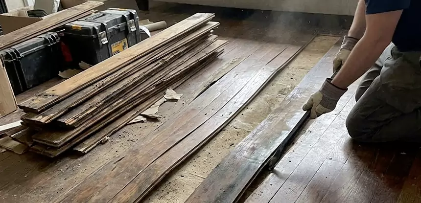 Wood Rot and Fungus Repair in Cave Spring