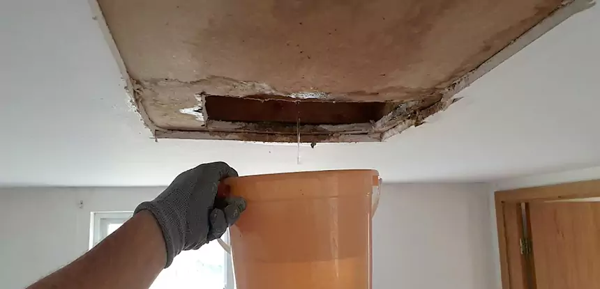 Ceiling Mold Repair Cave Spring 