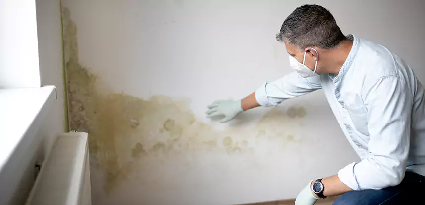 Mold and Water Damage Repair in Cave Spring