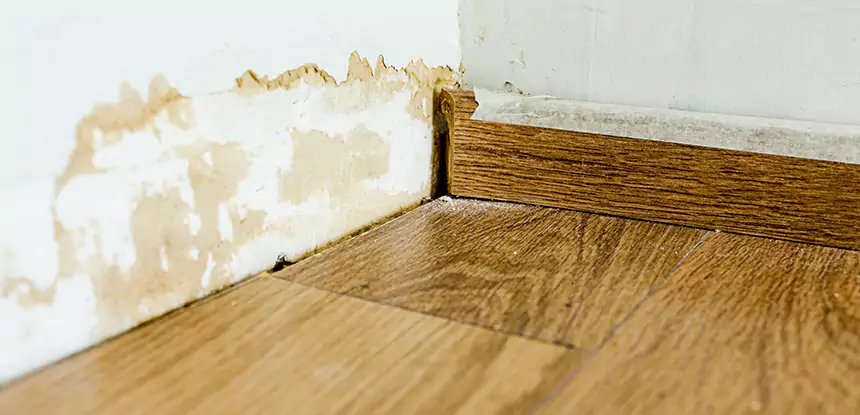 Professional Fix Water Damaged Wood Services in Cave Spring, GA