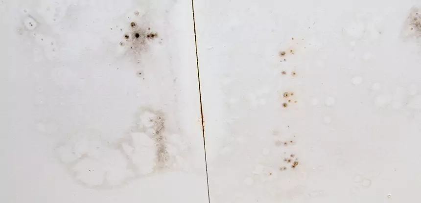 Professional Water Stain Repair Services in Cave Spring, GA