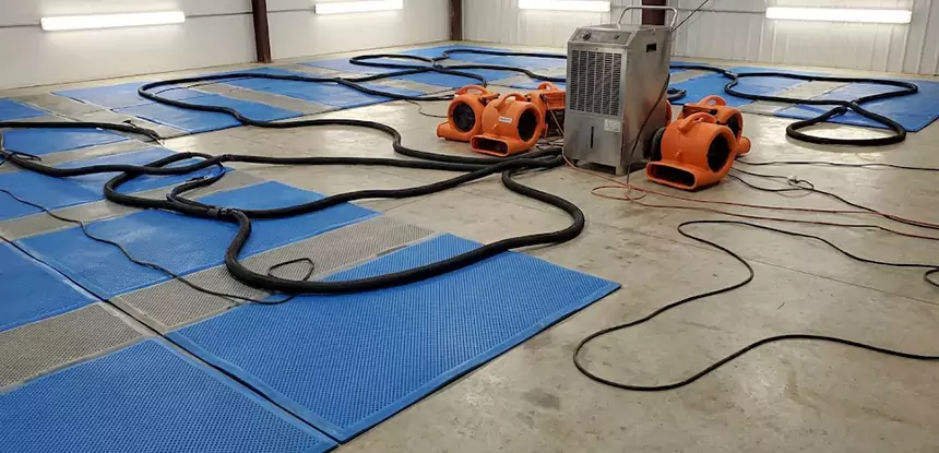 Professional Flooded Carpet Drying Services in Cave Spring, GA