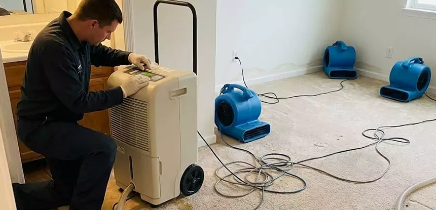 Professional Wet Carpet Removal Services in Cave Spring, GA