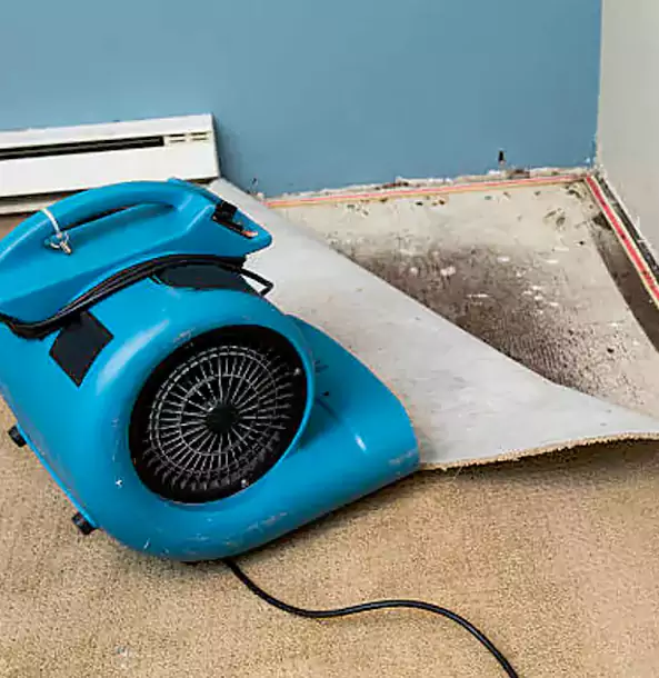 Why Cave Spring Trusts Cave Spring Restoration Pro for Carpet Flood Recovery?