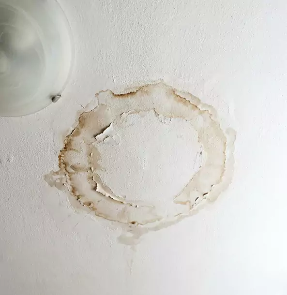 Why Cave Spring Property Owners Choose Cave Spring Restoration Pro for Ceiling Water Damage Restoration?