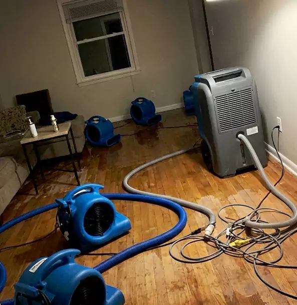 Why Cave Spring Calls Cave Spring Restoration Pro First for Emergency Restoration?