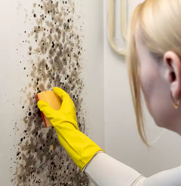 Why Cave Spring Restoration Pro Leads Mold Remediation in Cave Spring?
