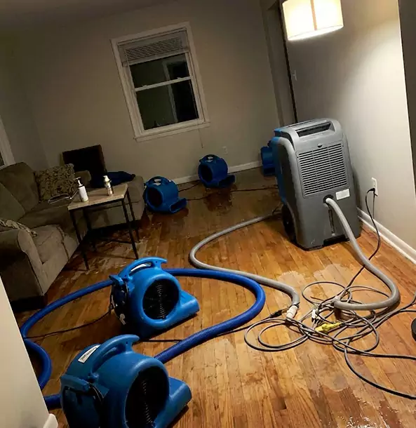 Why Cave Spring Property Owners Rely on Cave Spring Restoration Pro for Remediation?