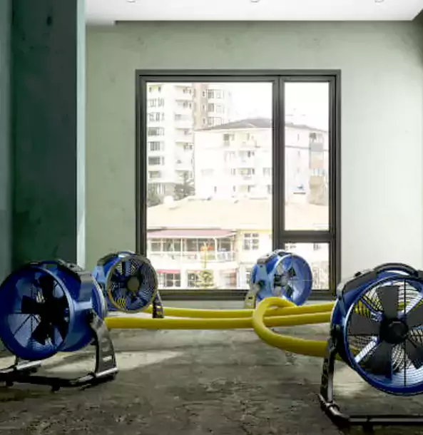 Why Cave Spring Property Owners Trust Cave Spring Restoration Pro for Water Damage Drying?