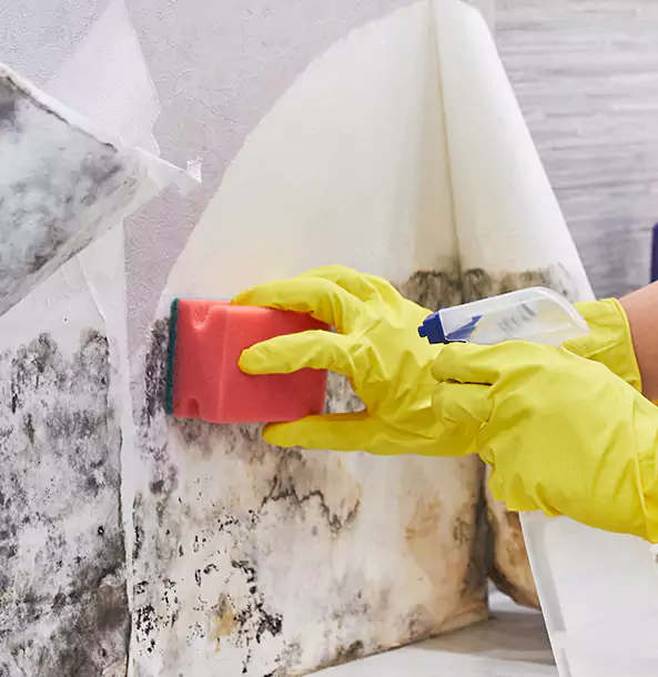 Why Cave Spring Trusts Cave Spring Restoration Pro for Mold and Water Restoration?