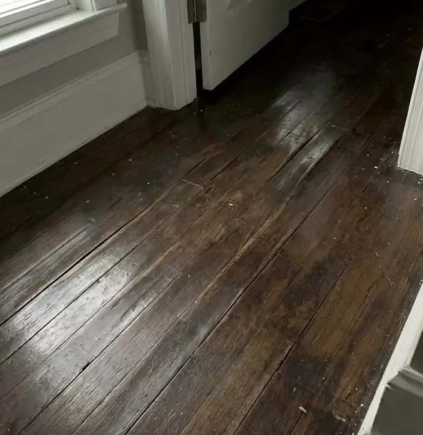 Why Cave Spring Homeowners Trust Cave Spring Restoration Pro to Fix Water Damaged Wood?