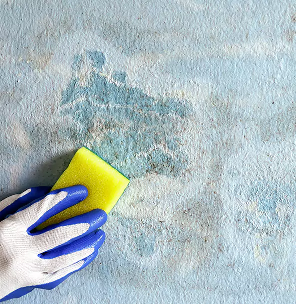 Why Cave Spring Restoration Pro Is the Right Choice in Cave Spring, GA?