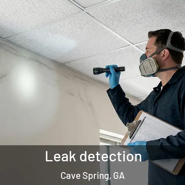  Leak detection Cave Spring, GA