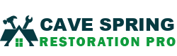 Cave Spring Restoration Pro