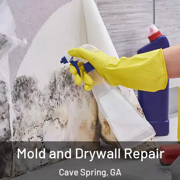 Mold and Drywall Repair Cave Spring, GA