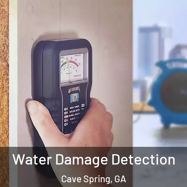  Water Damage Detection Cave Spring, GA