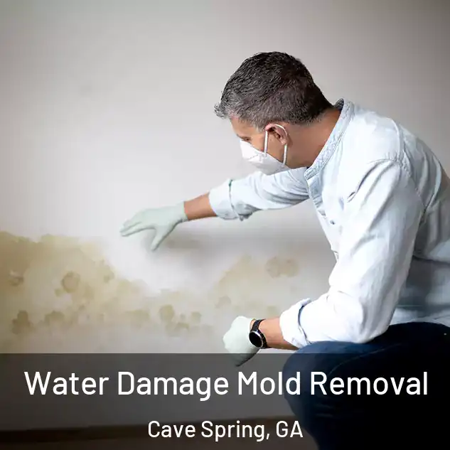  Water Damage Mold Removal Cave Spring, GA