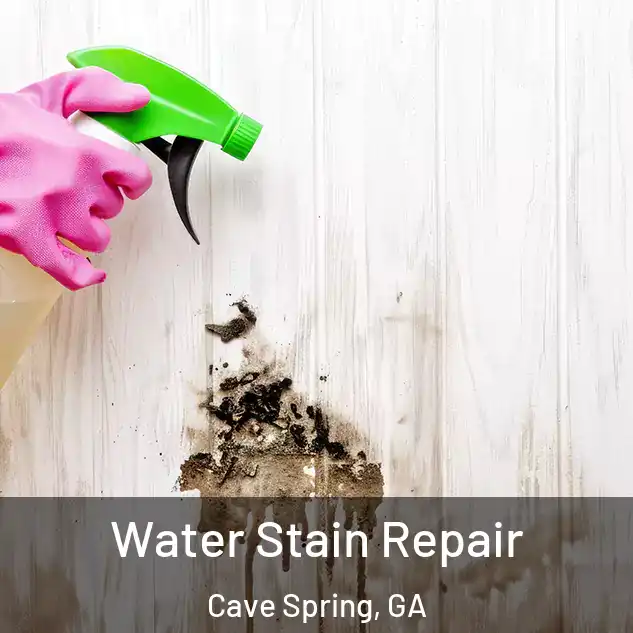  Water Stain Repair Cave Spring, GA