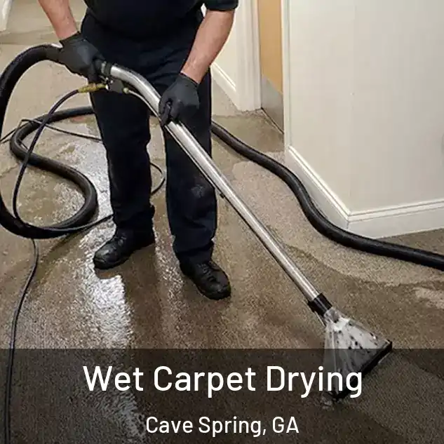  Wet Carpet Drying Cave Spring, GA